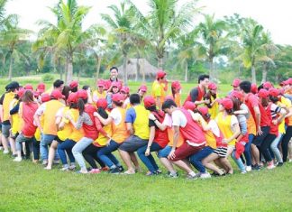 Trò chơi team building