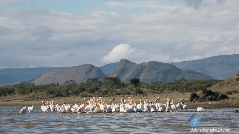 kinh nghiệm du lịch Kenya