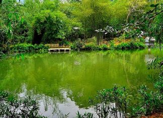 Sơn Trà Tịnh Viên Đà Nẵng