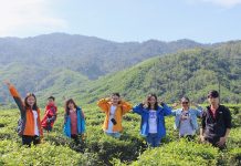 đồi chè Đông Giang