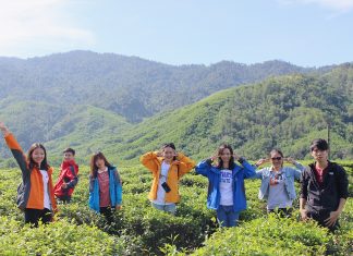 đồi chè Đông Giang