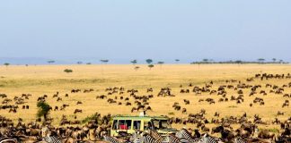 kinh nghiệm du lịch Kenya