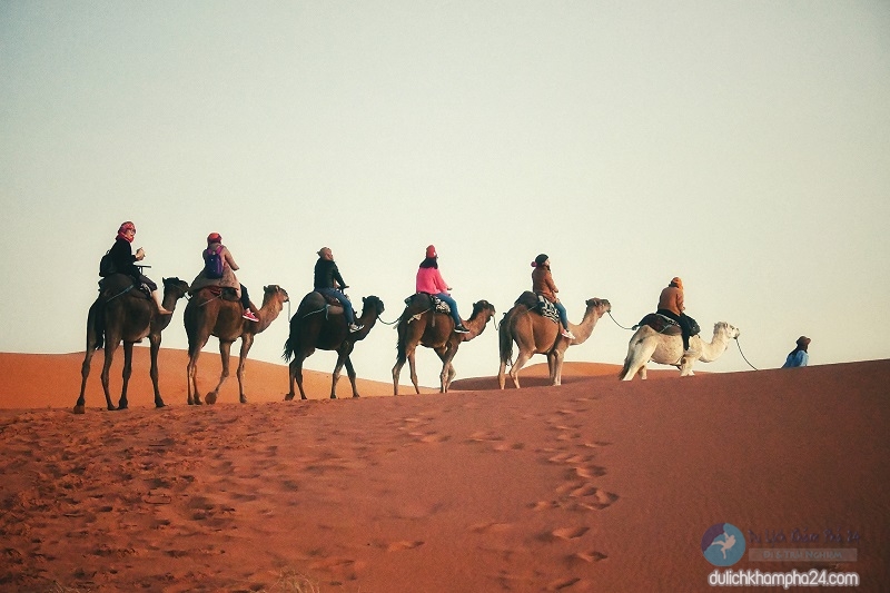 Kinh nghiệm du lịch Maroc đến Cồn cát Erg Chebbi