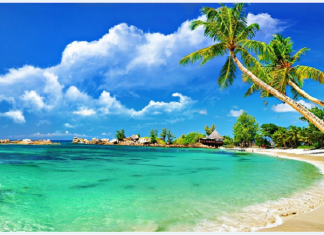 Bãi Bắc Đà Nẵng