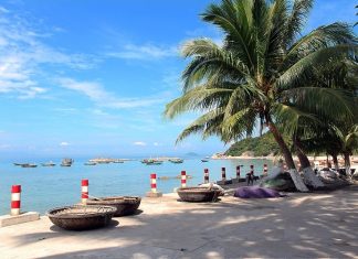 bãi hương cù lao chàm