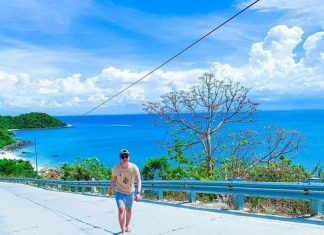 cây ngô đồng cù lao chàm