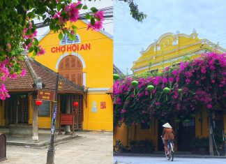 giàn hoa giấy hội an