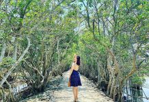 rừng ngập mặn rú chá