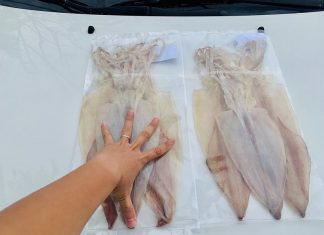 mực một nắng đà nẵng