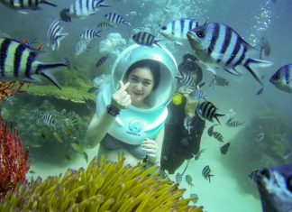 Đi bộ dưới lòng biển Cù Lao Chàm