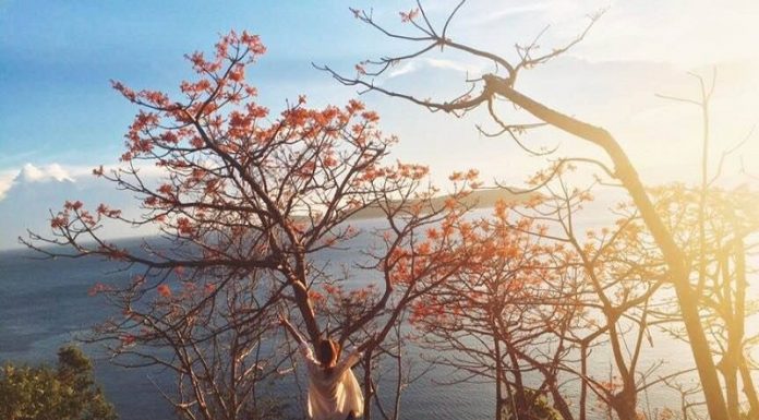 Những địa điểm tựa như phim Hàn không thể bỏ qua