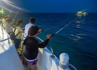 Đi tour du lịch Cù Lao Chàm trải nghiệm câu mực đêm