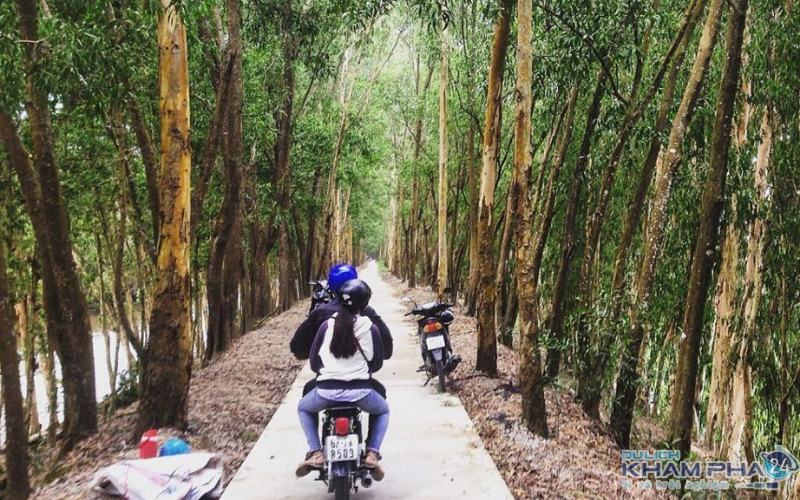 Du lịch tự túc rừng tràm Trà Sư bằng xe máy