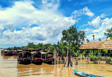 Khu Du Lịch Cồn Phụng Du lịch Cồn Phụng