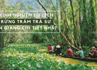 RỪNG TRÀM TRÀ SƯ