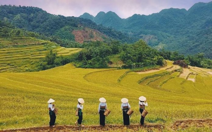 Du lịch Bản Lác Mai Châu Hòa Bình