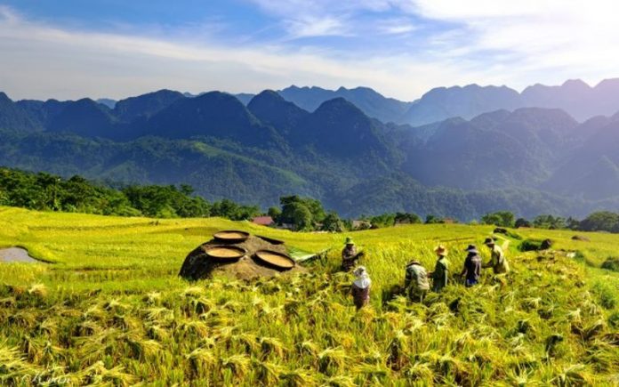 du-lich-pu-luong (9) Du lịch Pù Luông