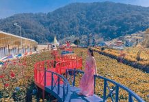 Vườn Thượng Uyển Bay: Du lịch Đà Lạt – Ăn gì, chơi gì? Du Lịch Vườn Thượng Uyển Bay Đà Lạt