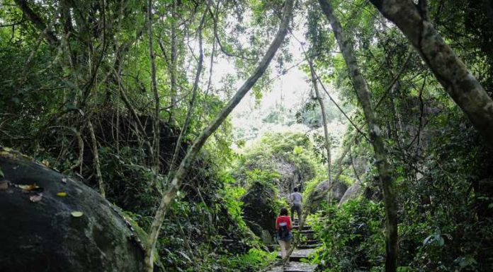 Trải nghiệm rừng độc đáo tại khu du lịch Madagui Lâm Đồng Khu du lịch Madagui