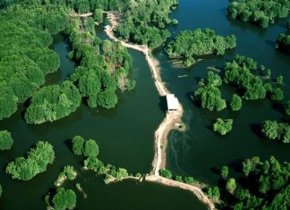 Khu du lịch Vàm Sát