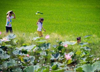 Khu du lịch Gáo Giồng