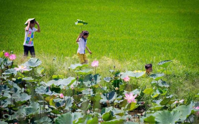 Khu du lịch Gáo Giồng