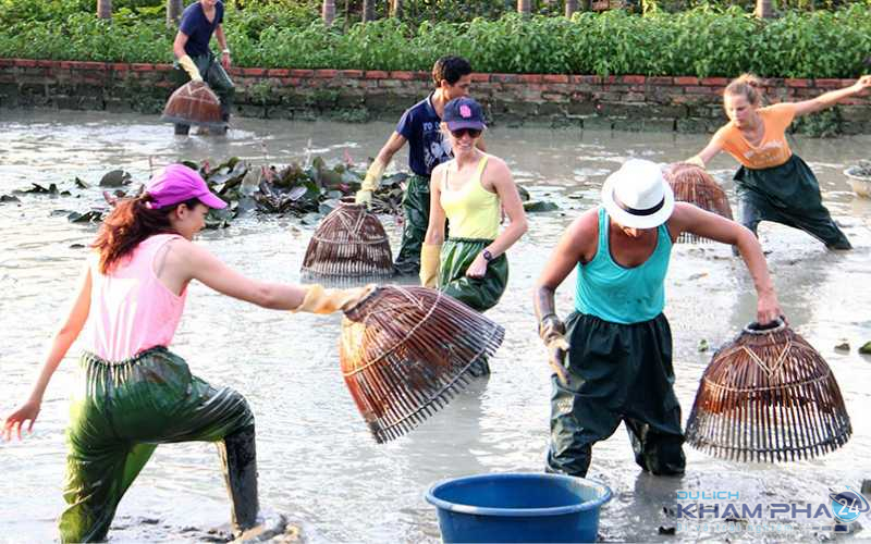 Bắt cá tại khu sinh thái Cao Lãnh Đồng Tháp Gáo Giồng