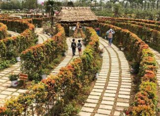 Khu sinh thái Đầm Trành