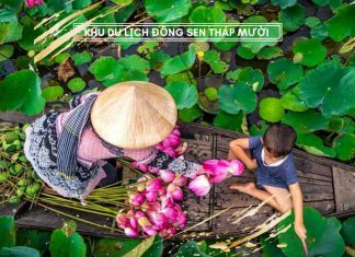 Khu du lịch đồng sen Tháp Mười