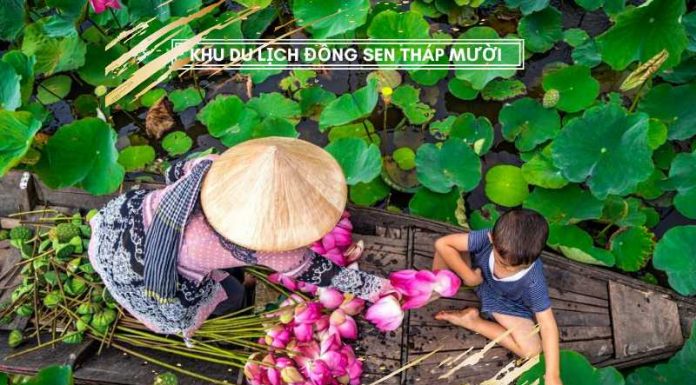 Khu du lịch đồng sen Tháp Mười