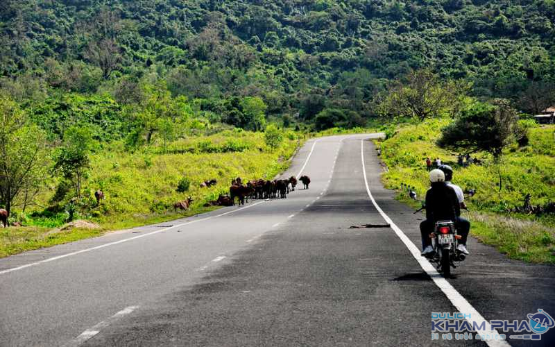Du lịch Phú An Khang Bến Tre bằng xe máy 