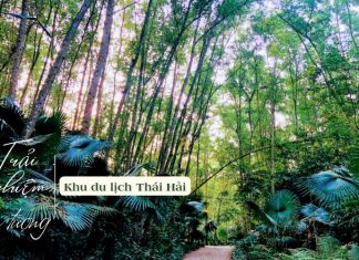 Khu du lịch Thái Hải