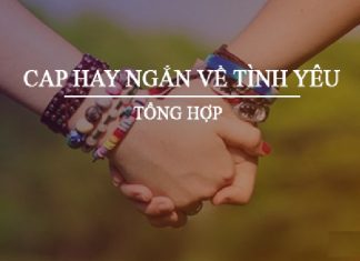 stt hay về tình yêu