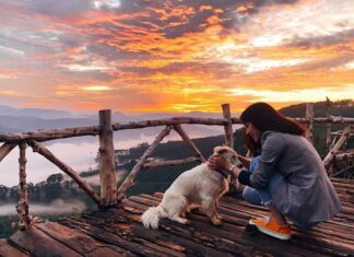 Đón bình minh tại cầu gỗ săn mây