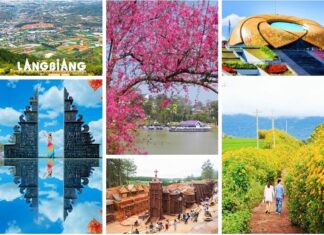 Tour Đà Lạt 3 Ngày 2 Đêm Trọn Gói, Khởi Hành Hàng Ngày