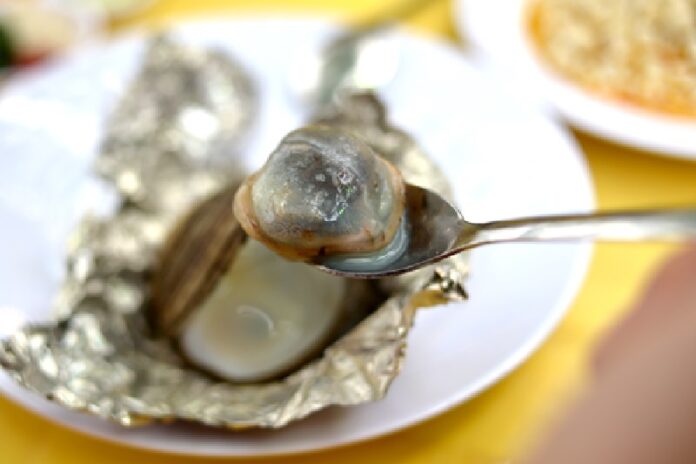 ngan-bien-quang-ninh-c Ngán biển Quảng Ninh