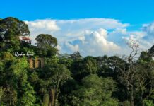 Quán Gió Tam Đảo - Checkin Tại Tiệm Cà Phê Trên Mây Ngay Gần Hà Nội