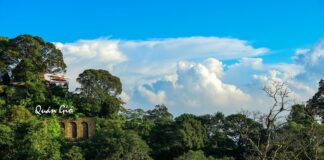 Quán Gió Tam Đảo - Checkin Tại Tiệm Cà Phê Trên Mây Ngay Gần Hà Nội