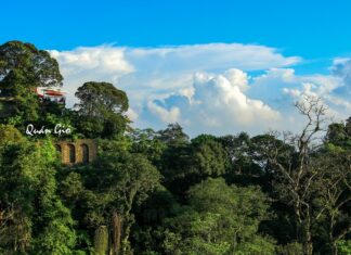 Quán Gió Tam Đảo - Checkin Tại Tiệm Cà Phê Trên Mây Ngay Gần Hà Nội