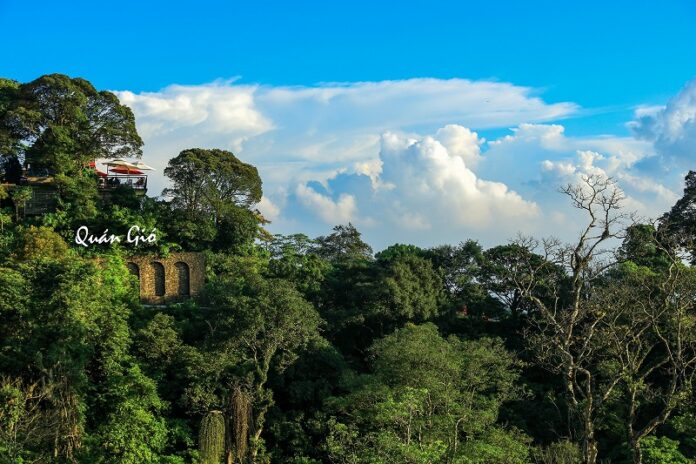 Quán Gió Tam Đảo - Checkin Tại Tiệm Cà Phê Trên Mây Ngay Gần Hà Nội