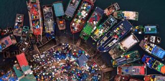 Review 7 khu chợ hải sản ở Hạ Long tươi ngon và giá tốt nhất chợ hải sản ở Hạ Long