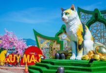đường hoa Tết Đà Nẵng