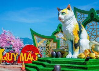 Khám phá đường hoa Tết Đà Nẵng 2023 rực rỡ, ngập tràn sắc xuân đường hoa Tết Đà Nẵng