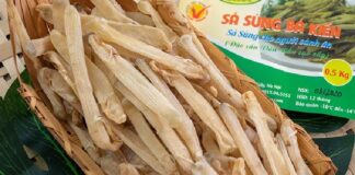 Sá sùng khô – đặc sản quý hiếm vùng đất Quảng Ninh Sá sùng khô