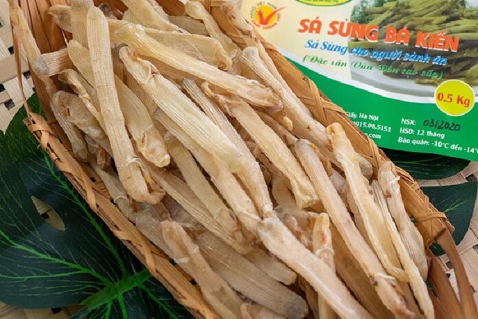 sa-sung-kho-c Sá sùng khô