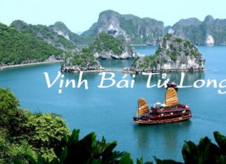 Khám phá Vịnh Bái Tử Long – Vẻ đẹp đầy hoang sơ, bí ẩn Vịnh Bái Tử Long