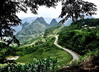 Khu bảo tồn thiên nhiên Nà Hẩu – Kinh nghiệm khám phá đầy đủ Khu bảo tồn thiên nhiên Nà Hẩu