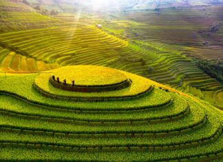Ruộng bậc thang Mù Cang Chải – Di tích Quốc gia đặc biệt của Yên Bái