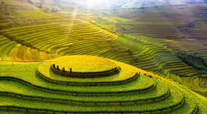 Ruộng bậc thang Mù Cang Chải – Di tích Quốc gia đặc biệt của Yên Bái