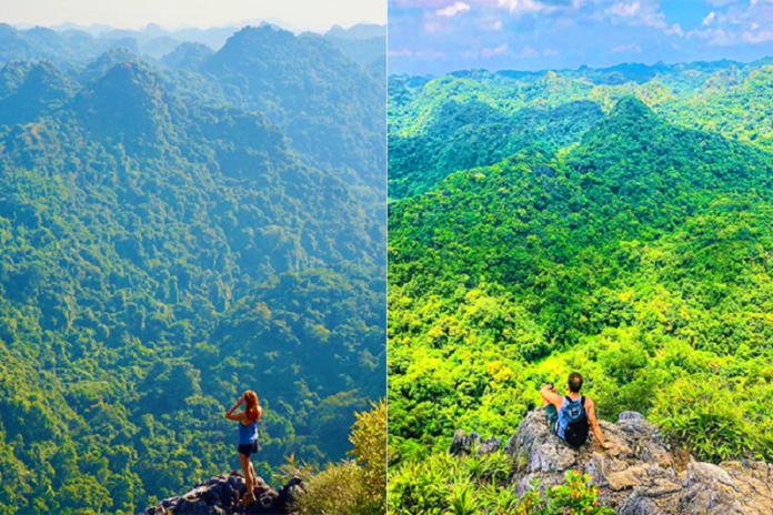 vuon-quoc-gia-cat-ba-2 Vườn quốc gia Cát Bà